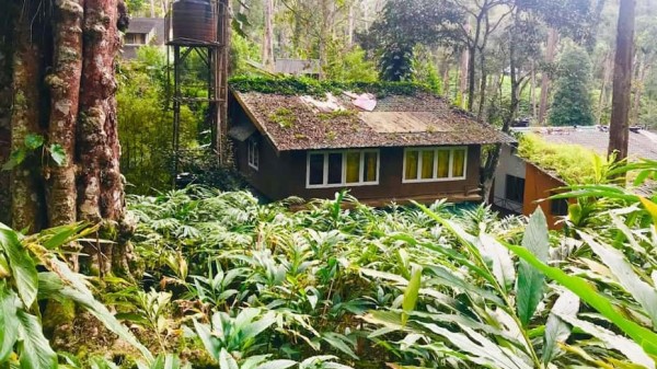 GREEN SPACE RESORT – POTHAMEDU