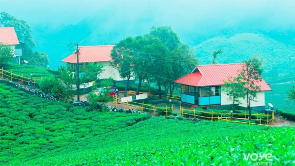 NOVELLA VAGAMON