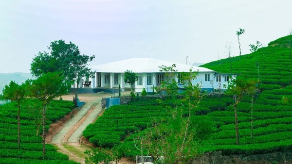 COTTON HILL BUNGALOW